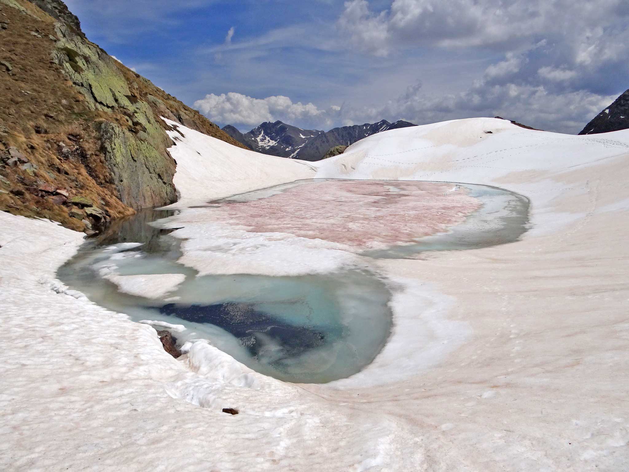 Etang de Canalbonne